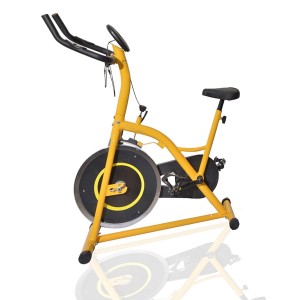 Tenive Pro Stationary Upright Exercise Bike