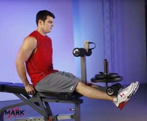 XMark FID Flat Incline Decline Weight Bench with Leg Extension and Preacher Curl 