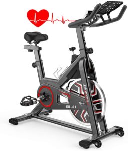 Rinkmo Indoor Cycling Spin Bike