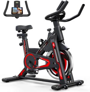 Eulumap Stationary Indoor Cycling Bike for Home GYM